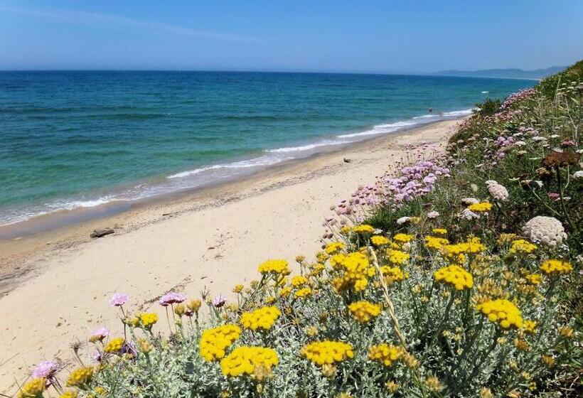 Апартаменты 3 Спальни, Sa Fiorida Appartamenti