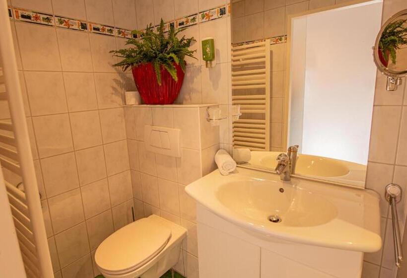 חדר סטנדרט יחיד עם מרפסת, Zimmerbräu