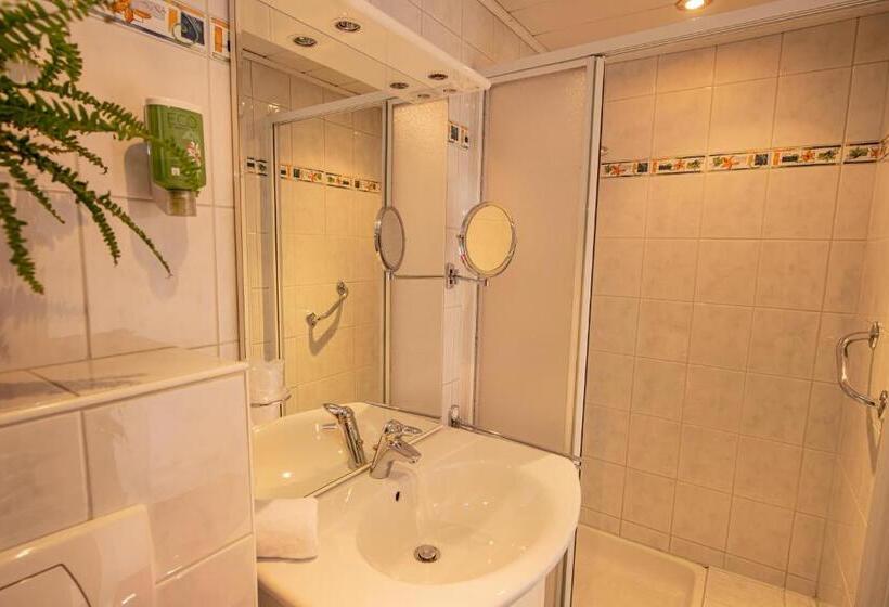 חדר סטנדרט יחיד עם מרפסת, Zimmerbräu