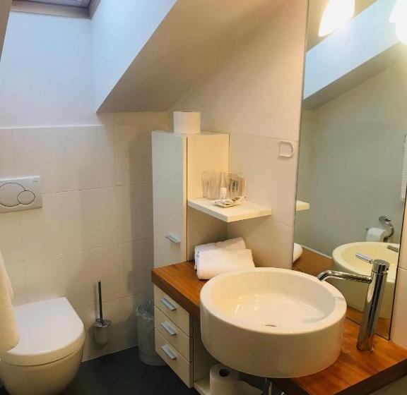 דירת פנטהאוז 1 חדרי שינה, Residence Hotel Alpinum