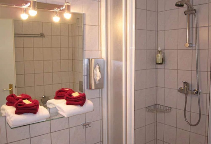 Номер Стандарт Индивидуальный, Aparthotel 1a