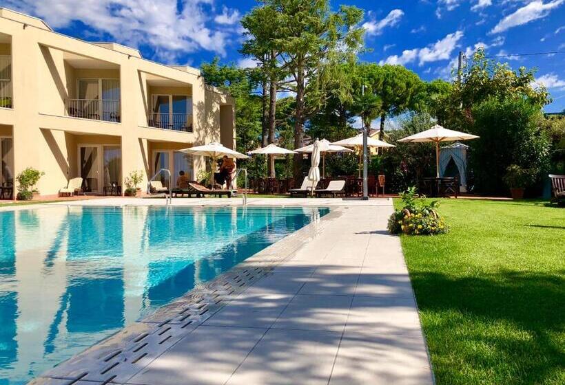 سوییت جونیور, Campagnola