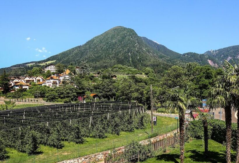 标准单人间, Guesthouse Pension Grafenstein