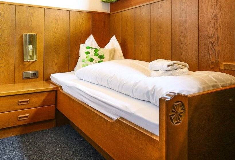 エコノミーシングルルーム, Guesthouse Pension Grafenstein
