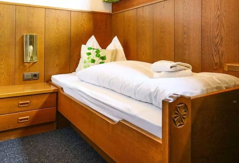 エコノミーシングルルーム, Guesthouse Pension Grafenstein