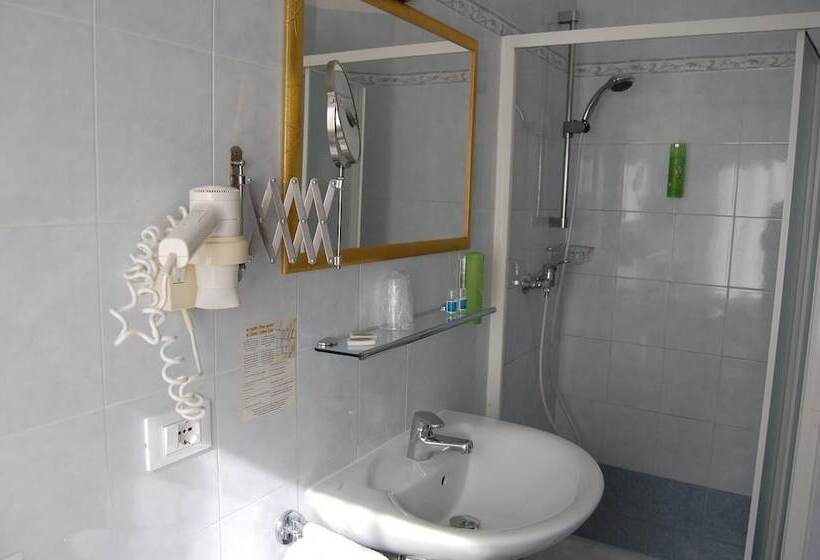 غرفة قياسية فردية, Irene