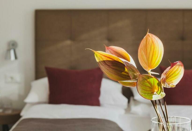 اتاق استاندارد یک نفره, Magdalener Hof