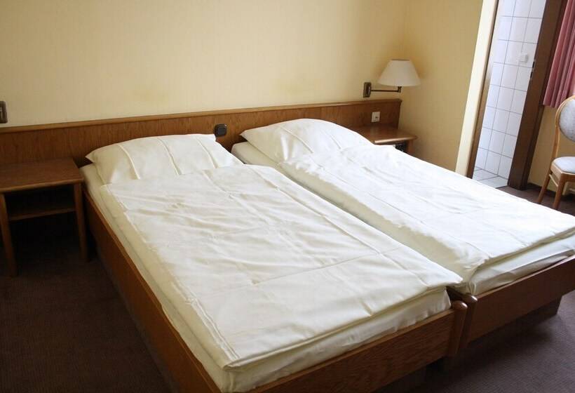 스탠다드 룸, Niederée