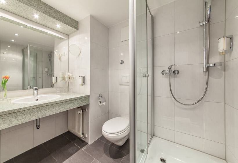 Номер Economy Индивидуальный, Strohgäu