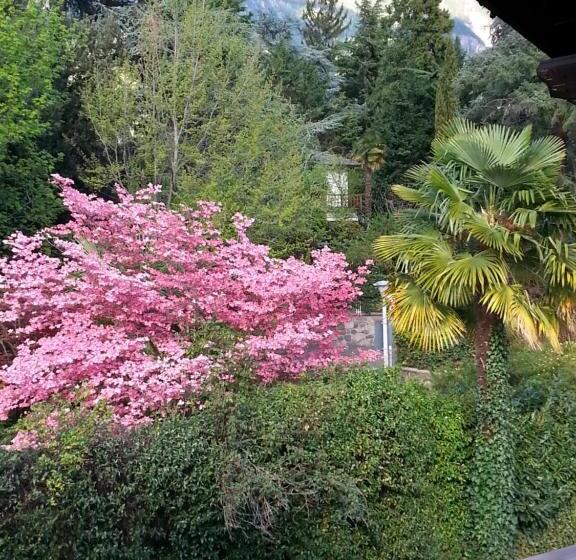 标准间, Schönbrunn