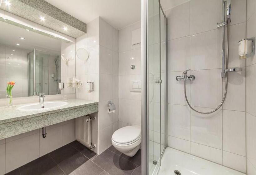 Номер Economy Индивидуальный, Strohgäu