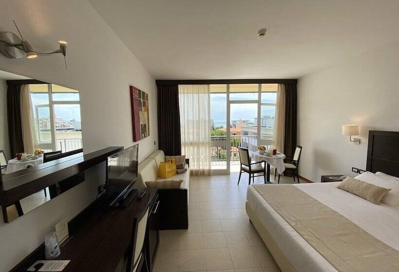 수피리어 룸, Palace Hotel Regina