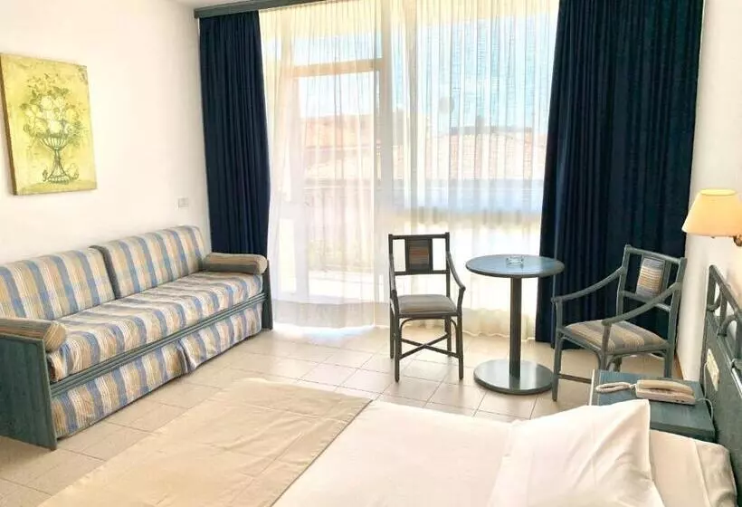اتاق سوپریور, Palace Hotel Regina