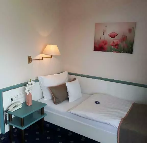 اتاق استاندارد یک نفره, Panorama Hotel Heimbuchenthal