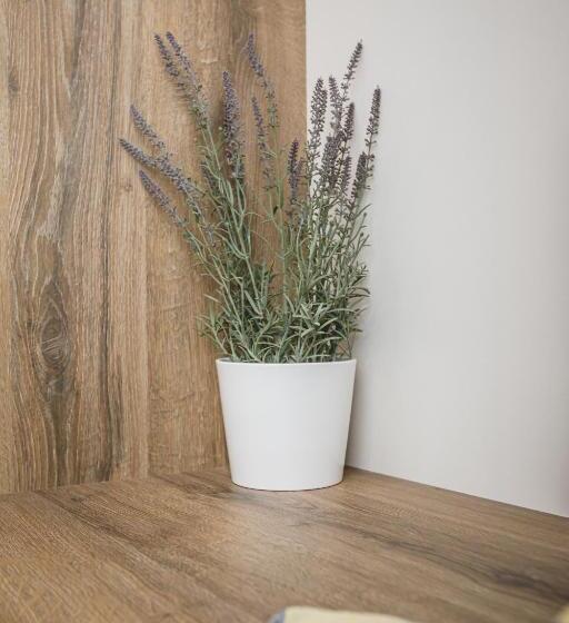 Family Suite, Votsalo Tolo