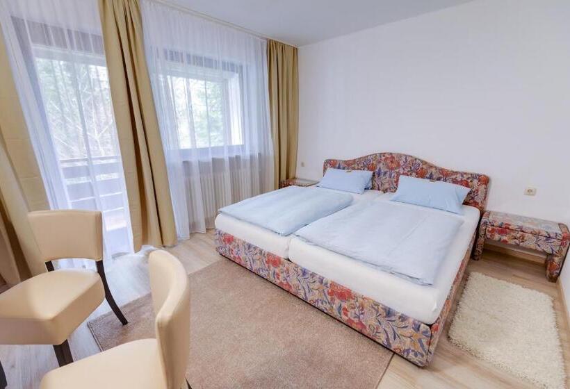 스탠다드 룸, Pension Bluchersruh