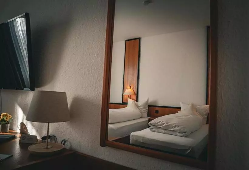 اتاق استاندارد, E&d Hotel Rodgau