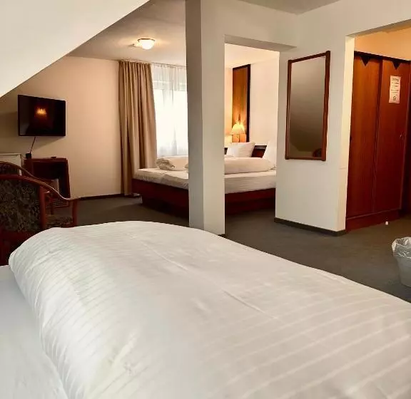 اتاق ساده سه‌ نفره, E&d Hotel Rodgau