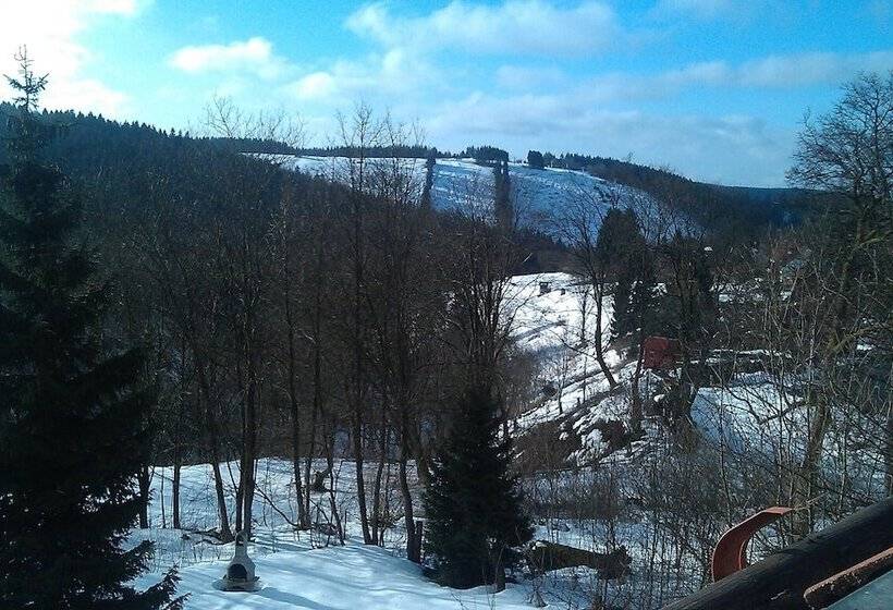 آپارتمان 1 خوابه, 4 Sterne Apartmenthaus Glück Auf