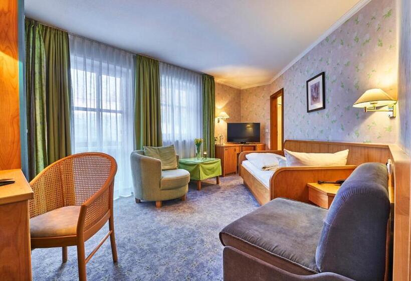 غرفة قياسية فردية, Angerhof Sport  U. Wellness