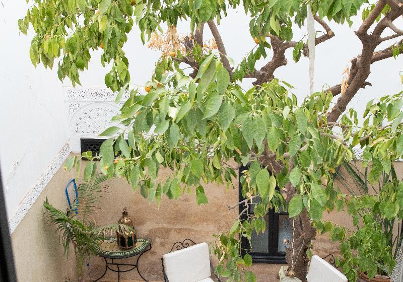 标准间带湖景, & Gastehaus Seehof