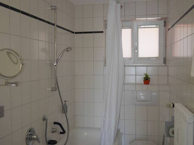 标准间带湖景, & Gastehaus Seehof