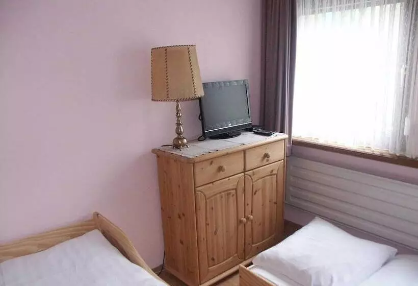 スタンダードシングルルーム, Im Burghof