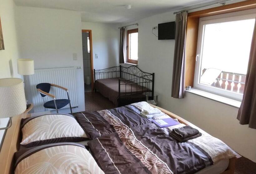 Трехместный Номер Комфорт, Landgasthof Nesselbach