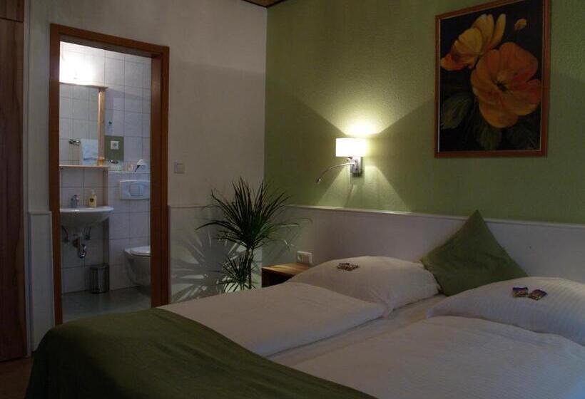 Номер Стандарт, Smartinn