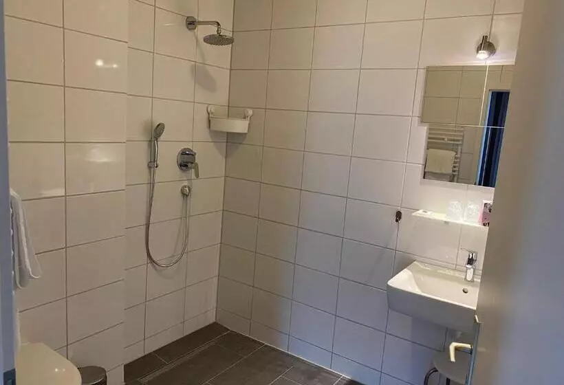 اتاق استاندارد برای معلولان, Sonne   Haus 2