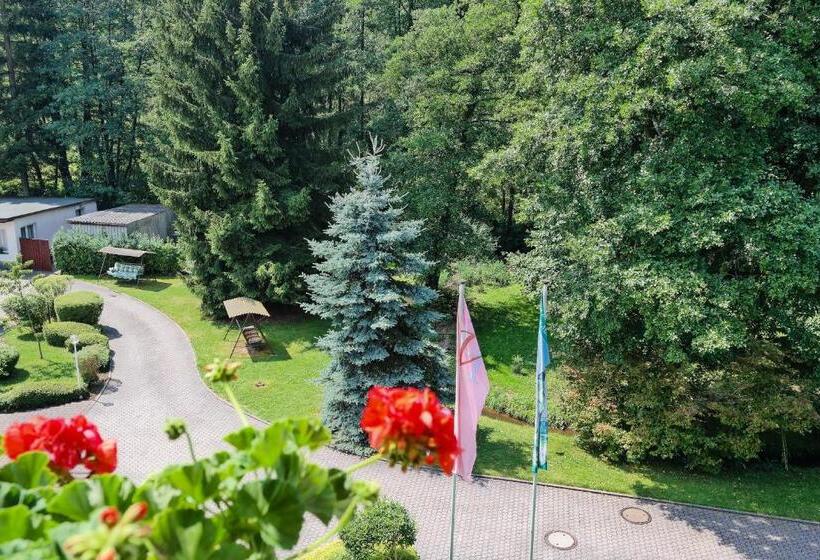 غرفة قياسية, Vogtland