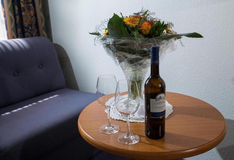 غرفة قياسية, Vogtland