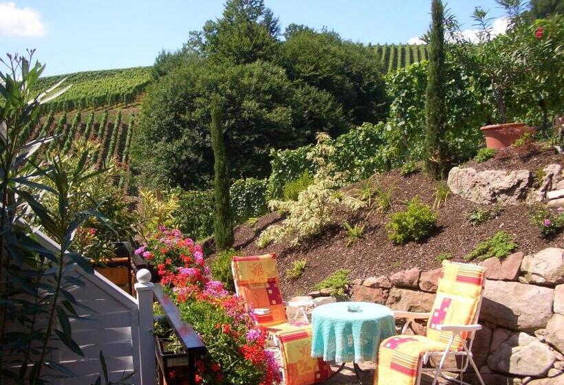 Номер Стандарт с Балконом, Landhaus Schneider