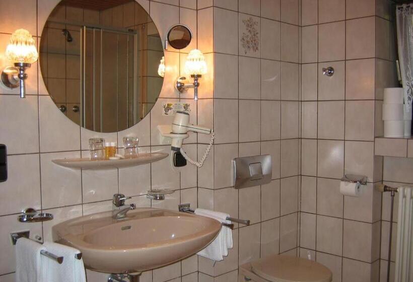 Апартаменты 1 Спальня Нижний Этаж, Landhaus Schneider