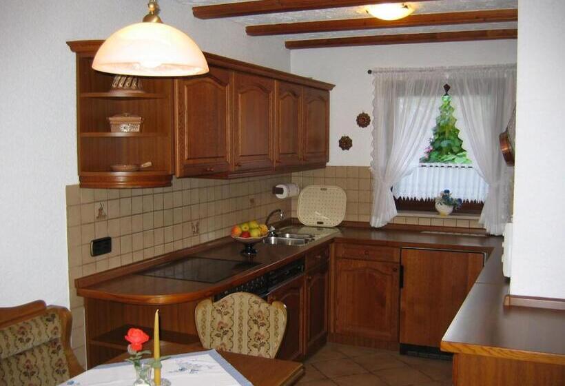 Апартаменты 1 Спальня Нижний Этаж, Landhaus Schneider