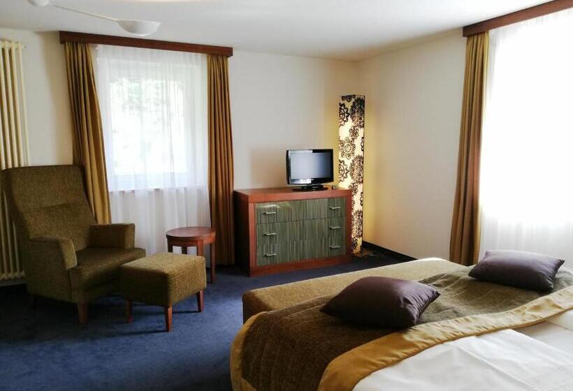 דירת דופלקס בת חדר שינה 1, Parkhotel Bad Schandau Mit Spa