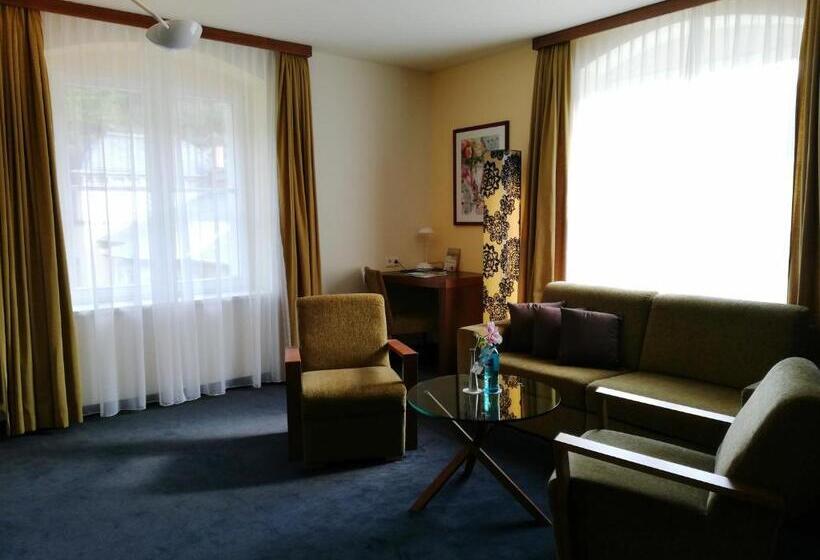 דירת דופלקס בת חדר שינה 1, Parkhotel Bad Schandau Mit Spa