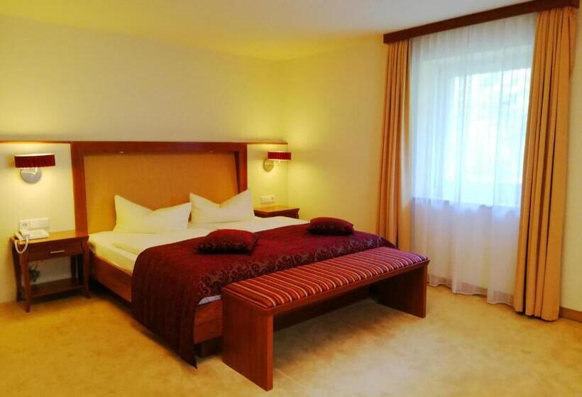 Апартаменты Дюплекс 1 Спальня, Parkhotel Bad Schandau Mit Spa