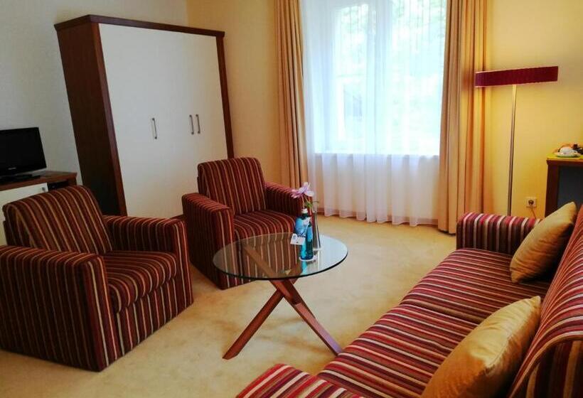 דירת דופלקס בת חדר שינה 1, Parkhotel Bad Schandau Mit Spa