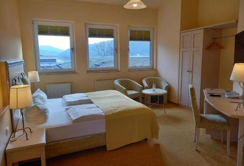 スタンダードルーム, Parkhotel Bad Schandau Mit Spa