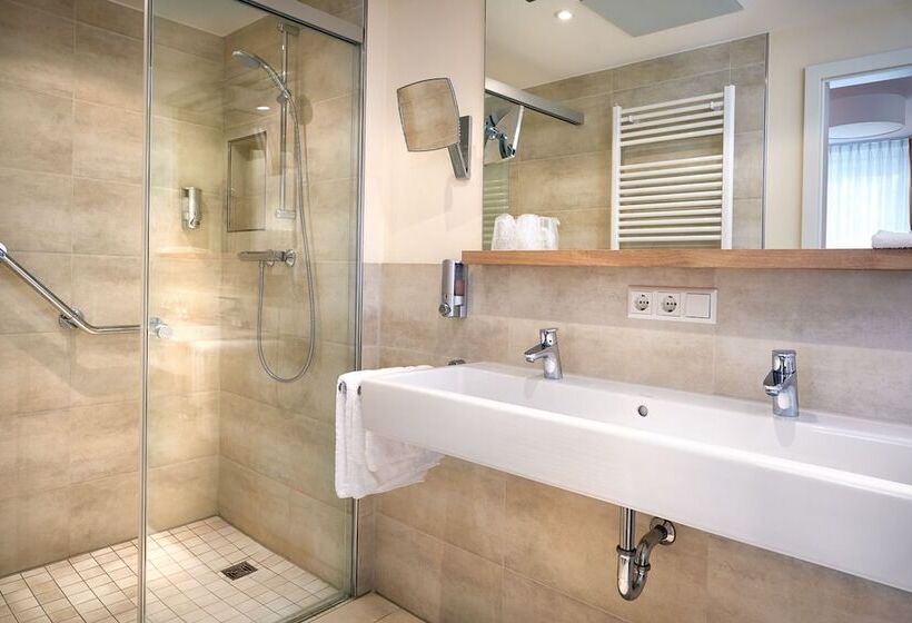 디럭스 룸, Flair Hotel Schwanen