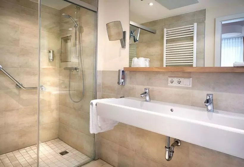 デラックスルーム, Flair Hotel Schwanen