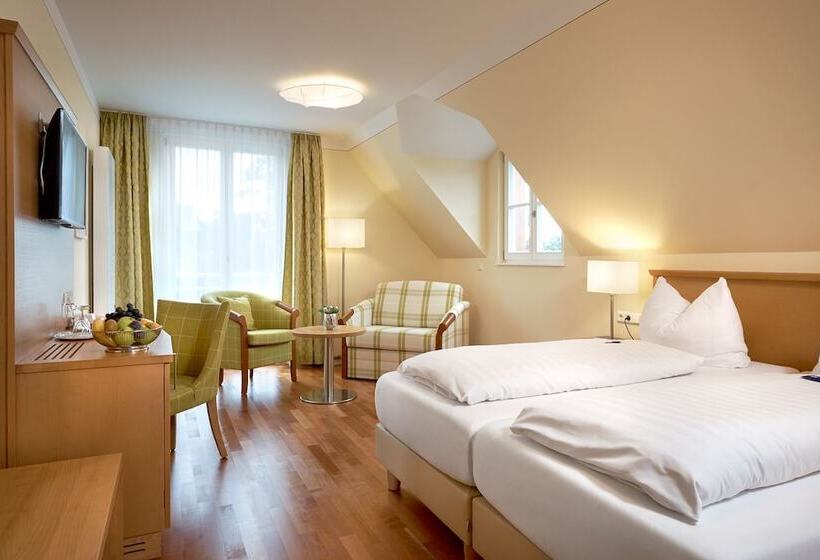 디럭스 룸, Flair Hotel Schwanen