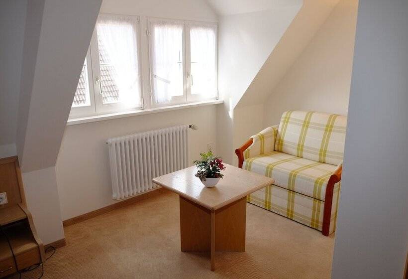 스탠다드 싱글 룸, Flair Hotel Schwanen