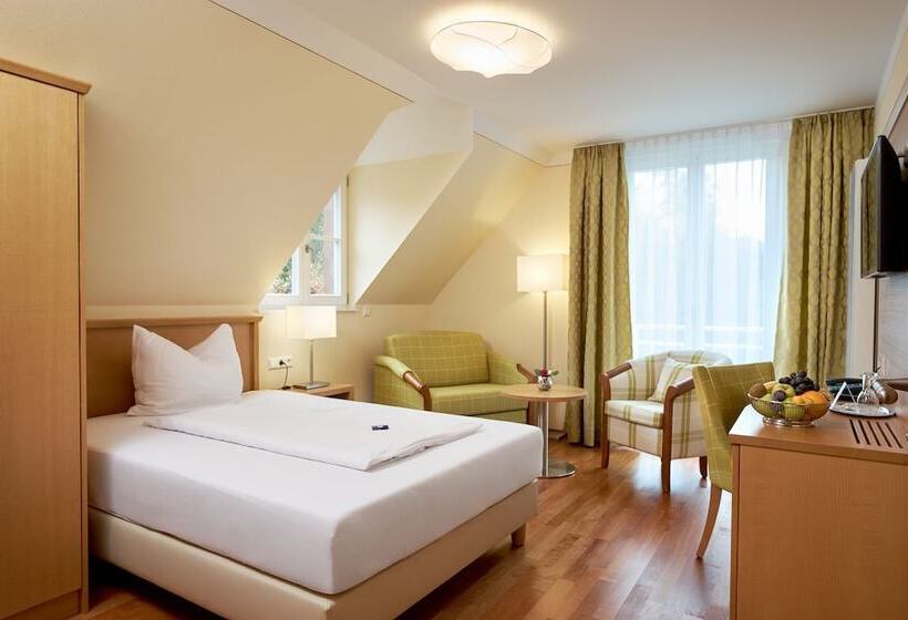 싱글 디럭스 룸, Flair Hotel Schwanen