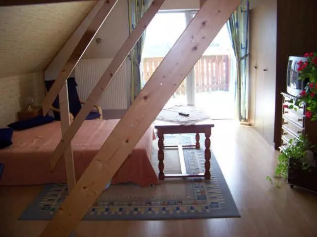 １ベッドルームアパートメント, Gasthaus Falkenhain