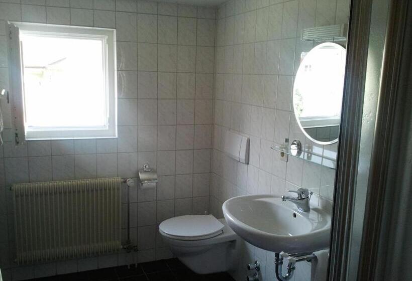 Номер Стандарт Индивидуальный, Gästehaus Galant