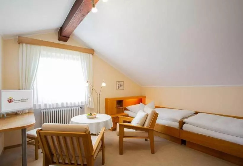 シングルデラックスルーム, Gästehaus Prinzregent Luitpold