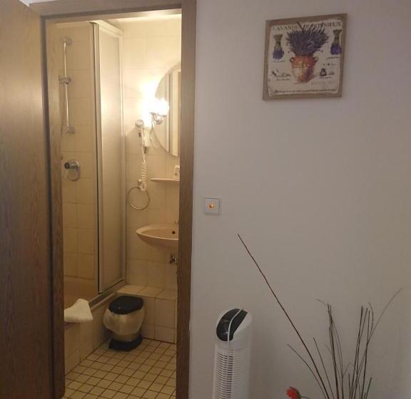 标准单人间, Landgasthof Gänsberg