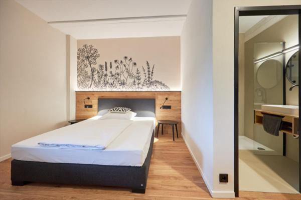 Номер Deluxe Одноместный, Landgasthof Kreuz